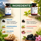 Energy Redefined - Combo Pack