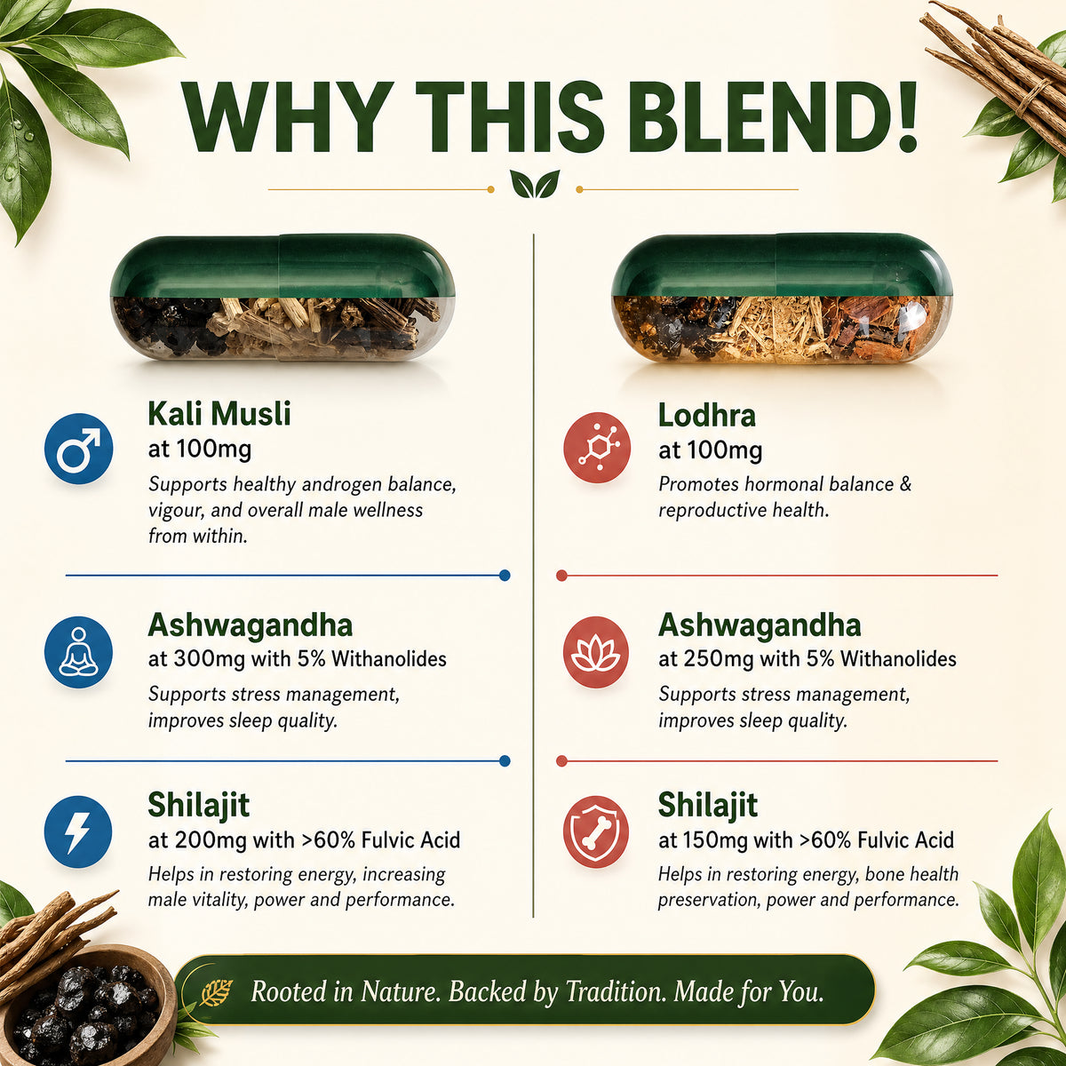 Energy Redefined - Combo Pack