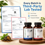 Energy Redefined - Combo Pack