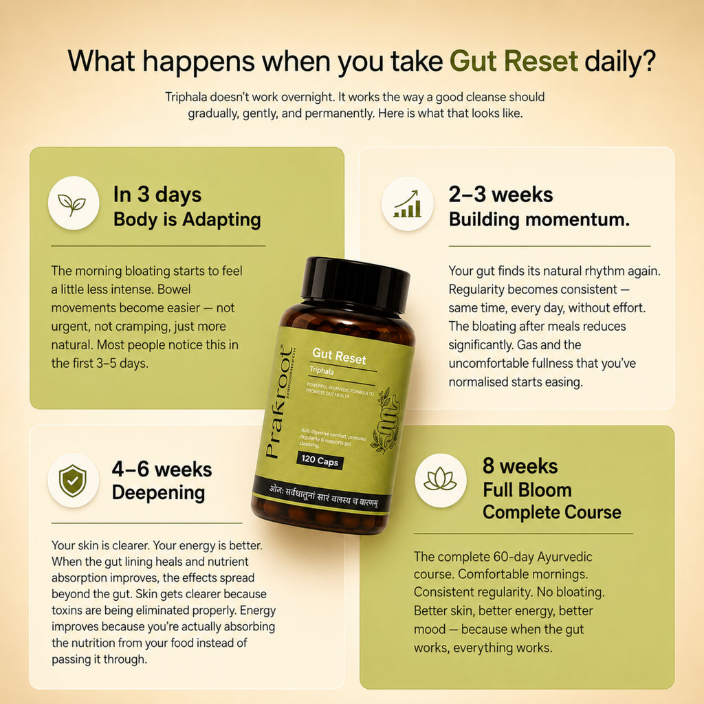 Gut Reset | 120 Veg Caps
